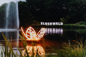 Beleuchtete Blattskulptur im Vordergrund, reflektiert im Wasser, mit dem großen Schriftzug "ELBENWALD" im Hintergrund. Die Szene zeigt die festliche Atmosphäre des Elbenwald Festivals bei Nacht, umgeben von grüner Natur und einem Wasserspiel.