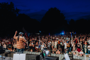 Ein Sänger auf der Bühne des Elbenwald Festivals, umgeben von einer begeisterten Menge, die mit Lichtstäben feiert. Die Atmosphäre ist lebhaft und festlich, während der Abendhimmel die Szene in ein magisches Licht taucht.