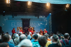 Corvus Corax Bühne beim Elbenwald Festival mit einer Band, die traditionelle Instrumente spielt. Die Menge vor der Bühne genießt die Musik und Atmosphäre, während Lichter und Dekorationen den festlichen Charakter unterstreichen.