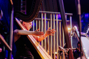 Elbenwald in Concert Eine Harfenistin spielt leidenschaftlich auf der Bühne des Elbenwald Festivals, umgeben von bunten Lichtern und einer begeisterten Menge. Die Atmosphäre vereint Musik und Nerdkultur in einem einzigartigen Erlebnis.