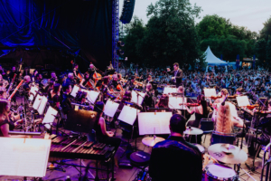 Elbenwald in Concert Orchesteraufführung beim Elbenwald Festival mit Musikern, die auf einer Bühne spielen, während eine große Menschenmenge im Hintergrund zuschaut. Die Atmosphäre ist lebhaft und festlich, umgeben von Bäumen und Festivalzelten.
