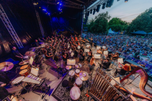 Elbenwald in Concert Ein Orchester spielt auf der Bühne beim Elbenwald Festival, umgeben von einer begeisterten Menschenmenge. Die Musiker sind in Schwarz gekleidet, während das Bühnenlicht in verschiedenen Farben strahlt. Im Vordergrund sind verschiedene Schlaginstrumente sichtbar.