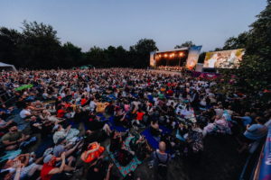 Elbenwald in Concert Ein großer Publikum von Festivalbesuchern sitzt auf Decken und genießt die Live-Performance auf der Bühne beim Elbenwald Festival. Die Abenddämmerung schafft eine festliche Atmosphäre, während die Zuschauer begeistert mitfeiern.