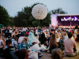 Elbenwald in Concert Eine große Menschenmenge sitzt auf dem Gelände des Elbenwald Festivals. Im Vordergrund ist eine Person mit blauer Haarpracht und einem großen, weißen Blumenstab zu sehen, während eine andere Person ein Handy in Richtung Bühne hält, wo eine Live-Performance stattfindet.