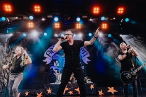 Fiddler's Green Auf der Bühne des Elbenwald Festivals performt eine Band mit einem Sänger, der das Publikum begeistert. Im Hintergrund sind Lichter und eine stilisierte Bannerpräsentation zu sehen, die die energiegeladene Atmosphäre des Events unterstreichen.